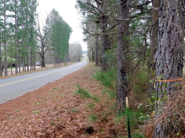 68000-blk Scranage Road Atmore, AL 36502 - Photo 7 of 13