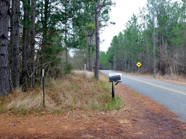 68000-blk Scranage Road Atmore, AL 36502 - Photo 8 of 13