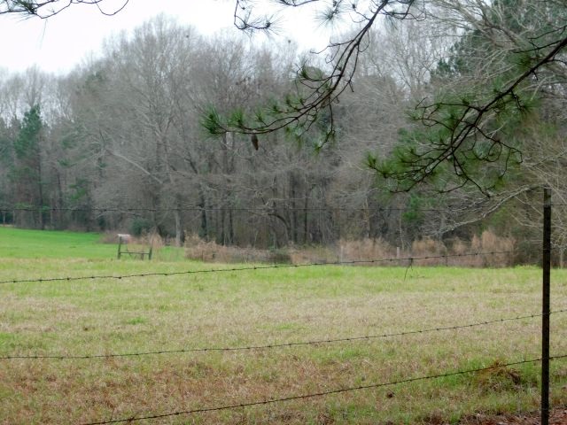 68000-blk Scranage Road Atmore, AL 36502 - Photo 10 of 13