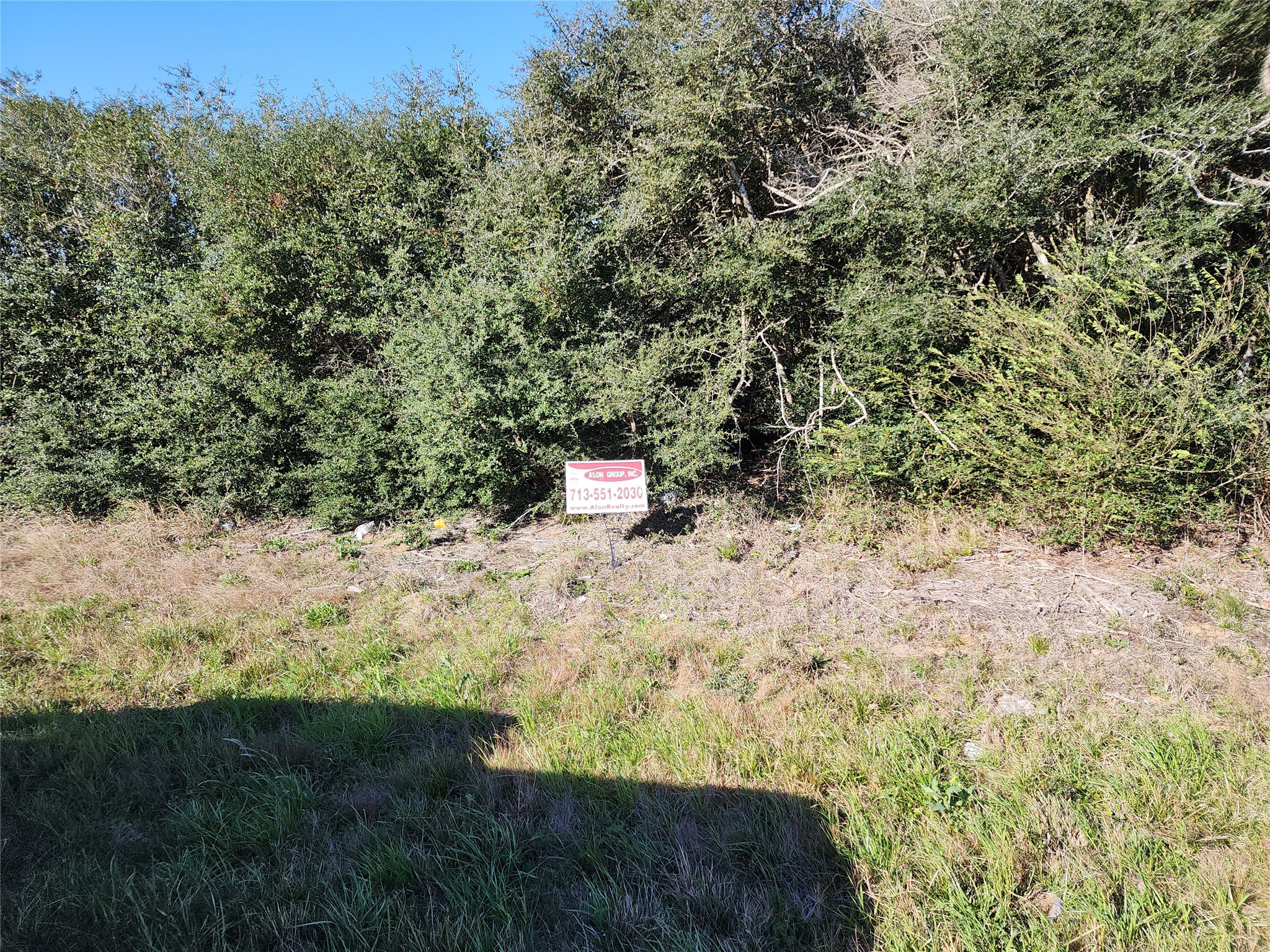 a view of a yard with large trees