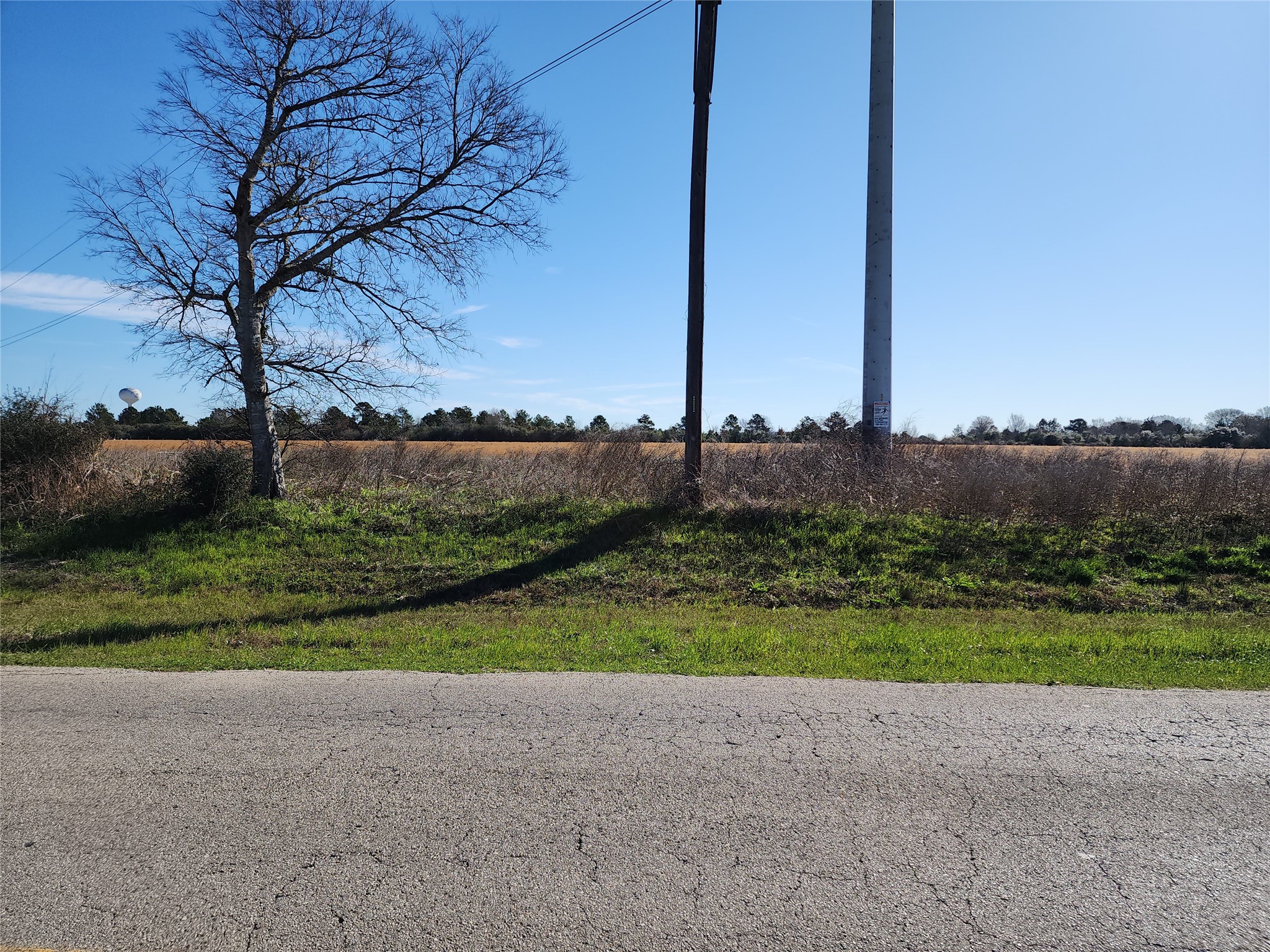0 Cochran Road Hempstead, TX 77445 - Photo 4 of 5 a view of a garden with a tree in the background