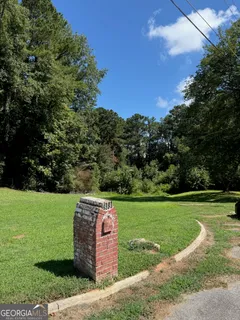 a view of a garden with a large tree