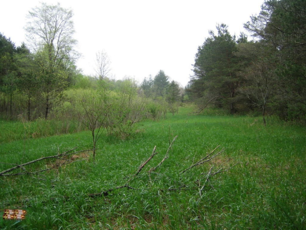 5500 East Tyler Road Walkerville, MI 49459 - Photo 3 of 10 Butler 40 005