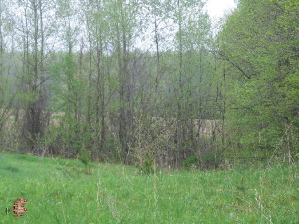 5500 East Tyler Road Walkerville, MI 49459 - Photo 8 of 10 Butler 40 021