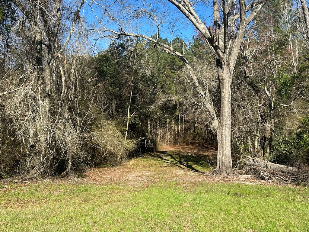 11034-11134 Cty Road Slocomb, AL 36375 - Photo 36 of 80