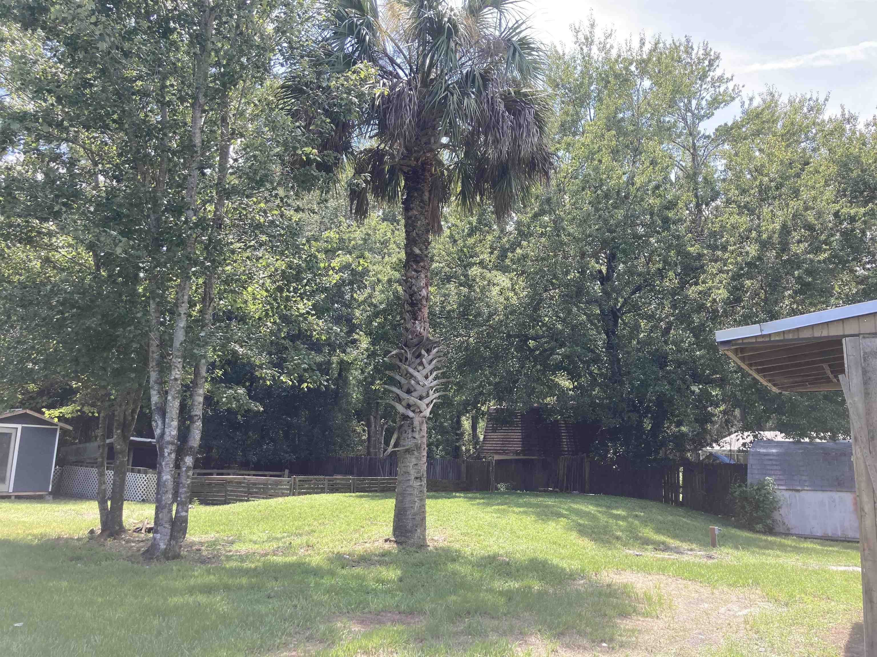 1611 Brian Way St. Augustine, FL 32084 - Photo 13 of 15