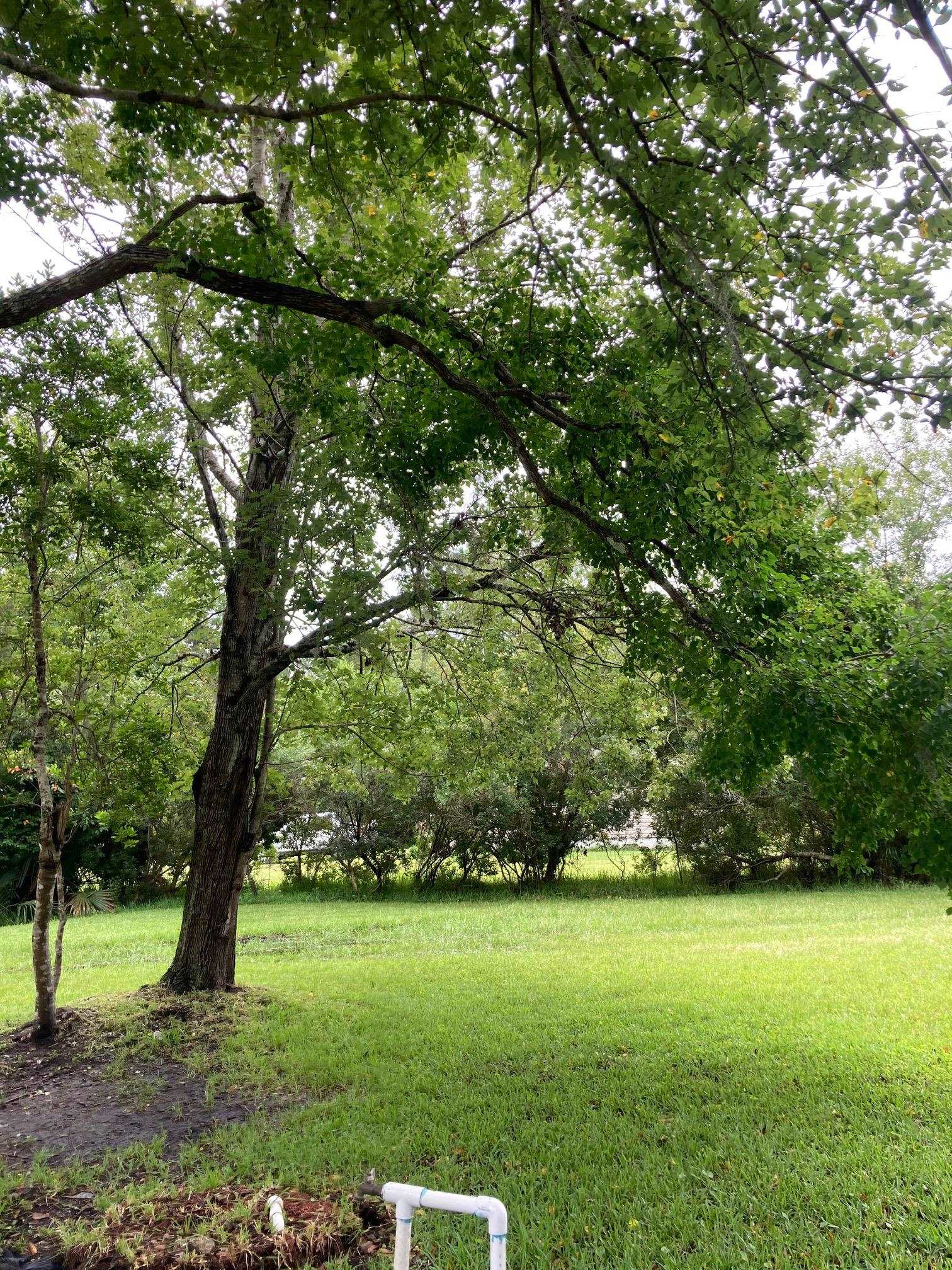 1611 Brian Way St. Augustine, FL 32084 - Photo 3 of 15