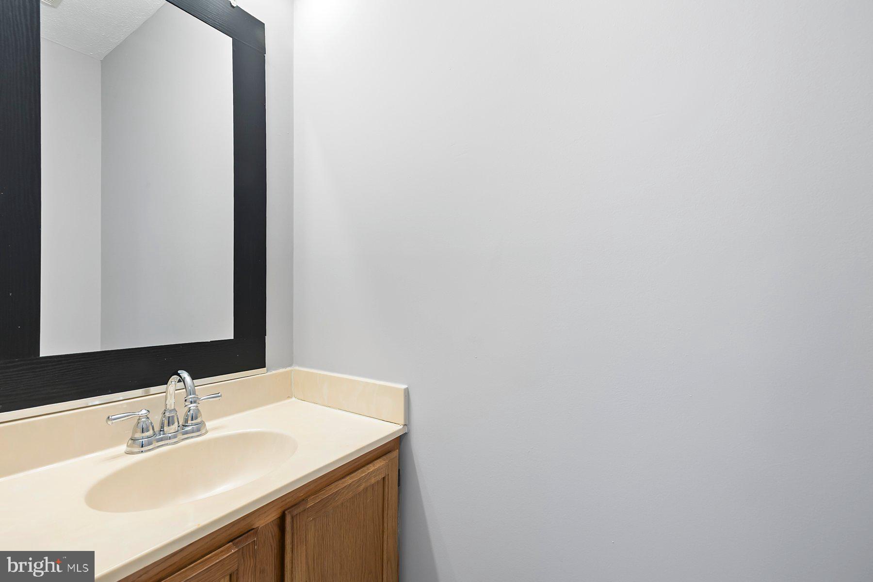 6795 Snow Goose Court Frederick, MD 21703 - Photo 22 of 36 a bathroom with a sink and a mirror
