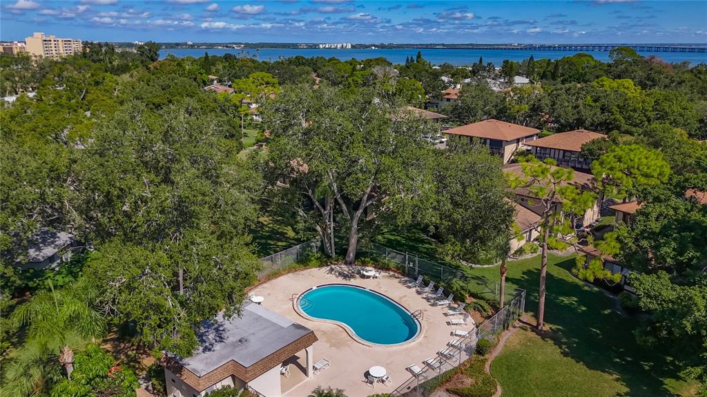 2933 Lichen Lane, Unit A Clearwater, FL 33760 - Photo 53 of 60