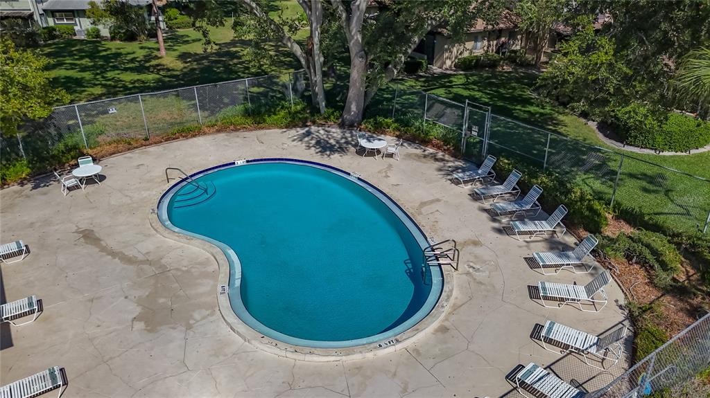 2933 Lichen Lane, Unit A Clearwater, FL 33760 - Photo 54 of 60