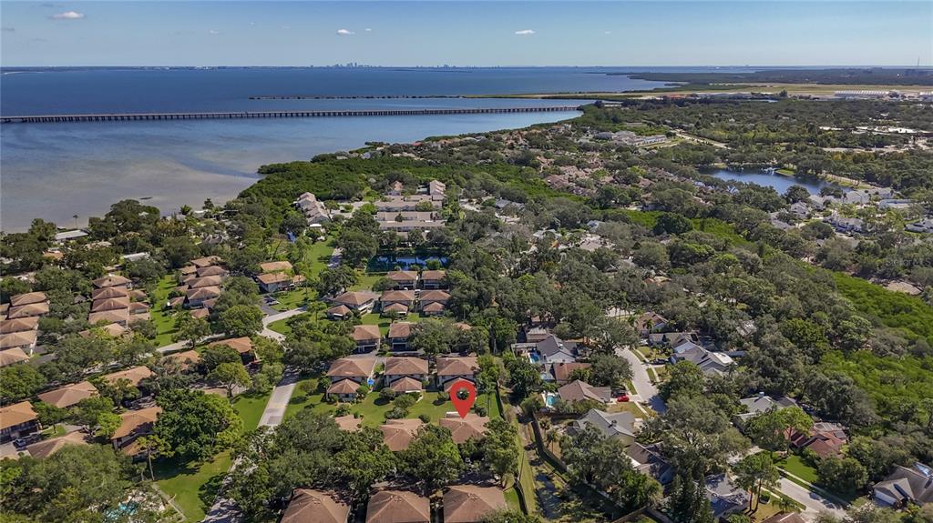 2933 Lichen Lane, Unit A Clearwater, FL 33760 - Photo 56 of 60