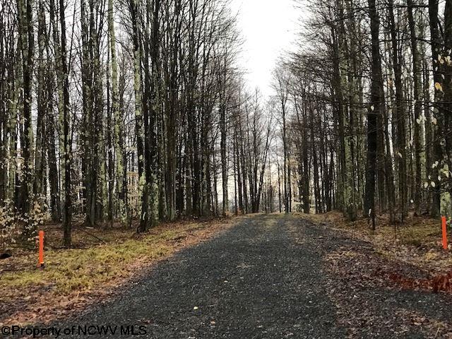 Lot 3 Cherry Davis, WV 26260 - Photo 2 of 14 Gallery Image 2