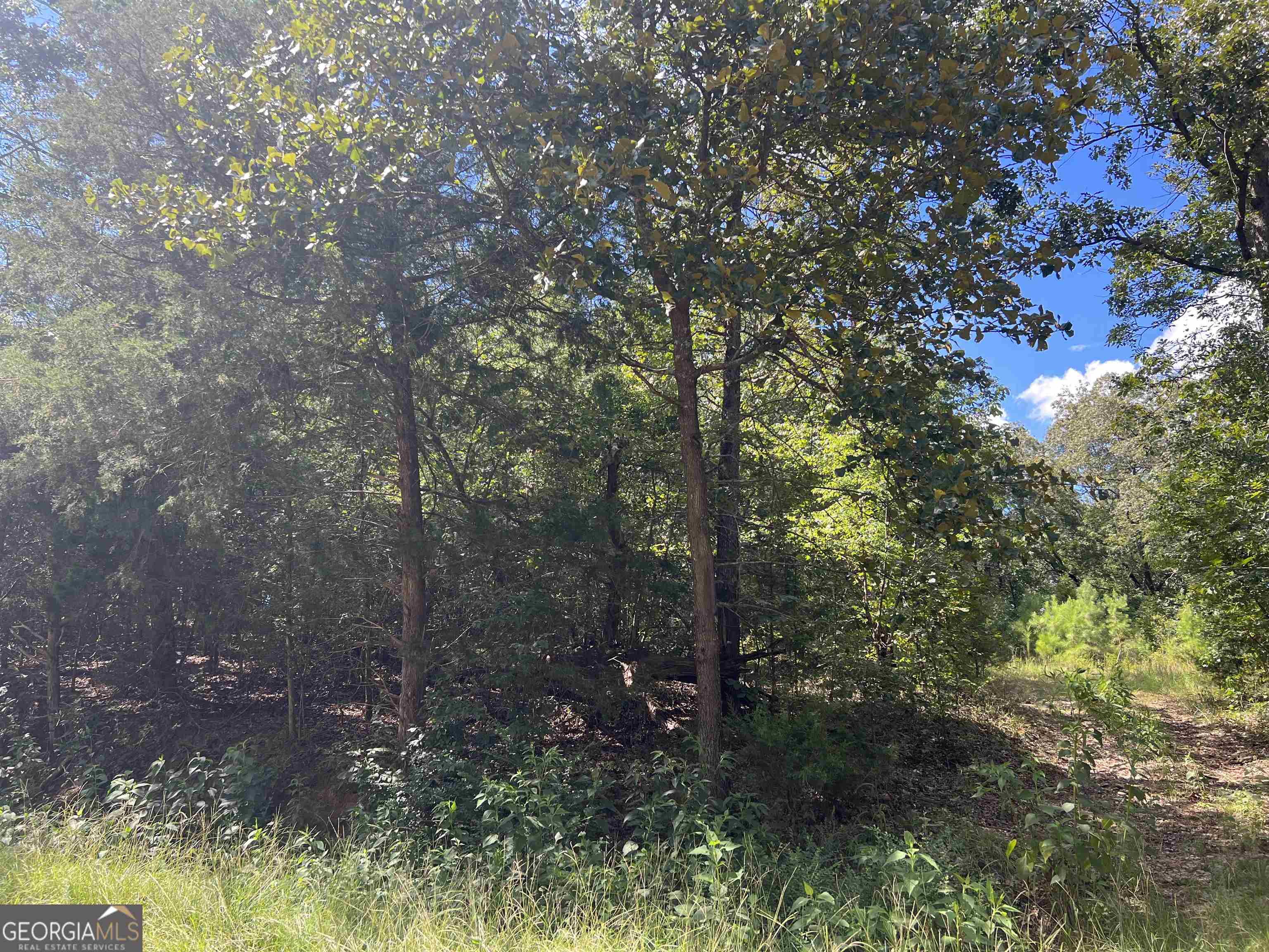 0 Davids Home Church Road Comer, GA 30629 - Photo 1 of 1 a view of a forest filled with trees