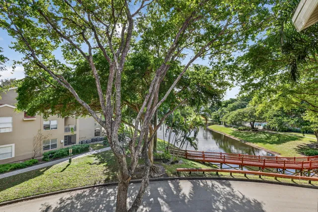 a large tree in the middle of a yard