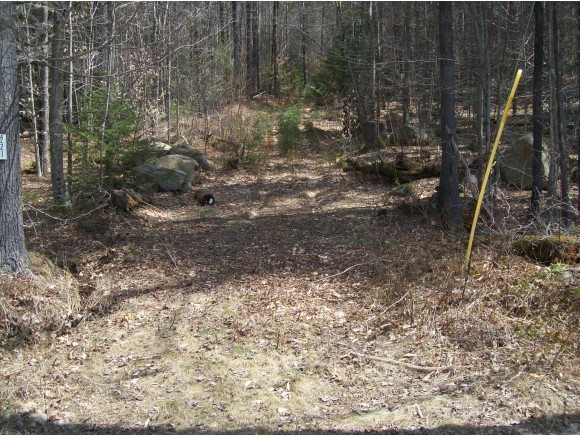 221 Bailey Road Alexandria, NH 03222 - Photo 6 of 11
