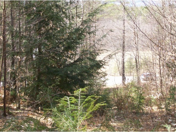 221 Bailey Road Alexandria, NH 03222 - Photo 10 of 11