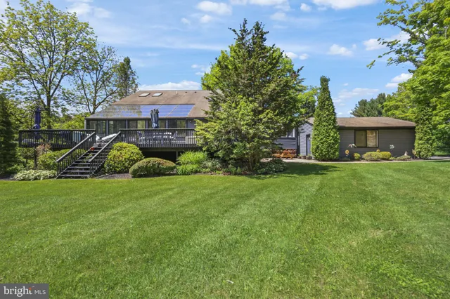 a view of a park with large trees