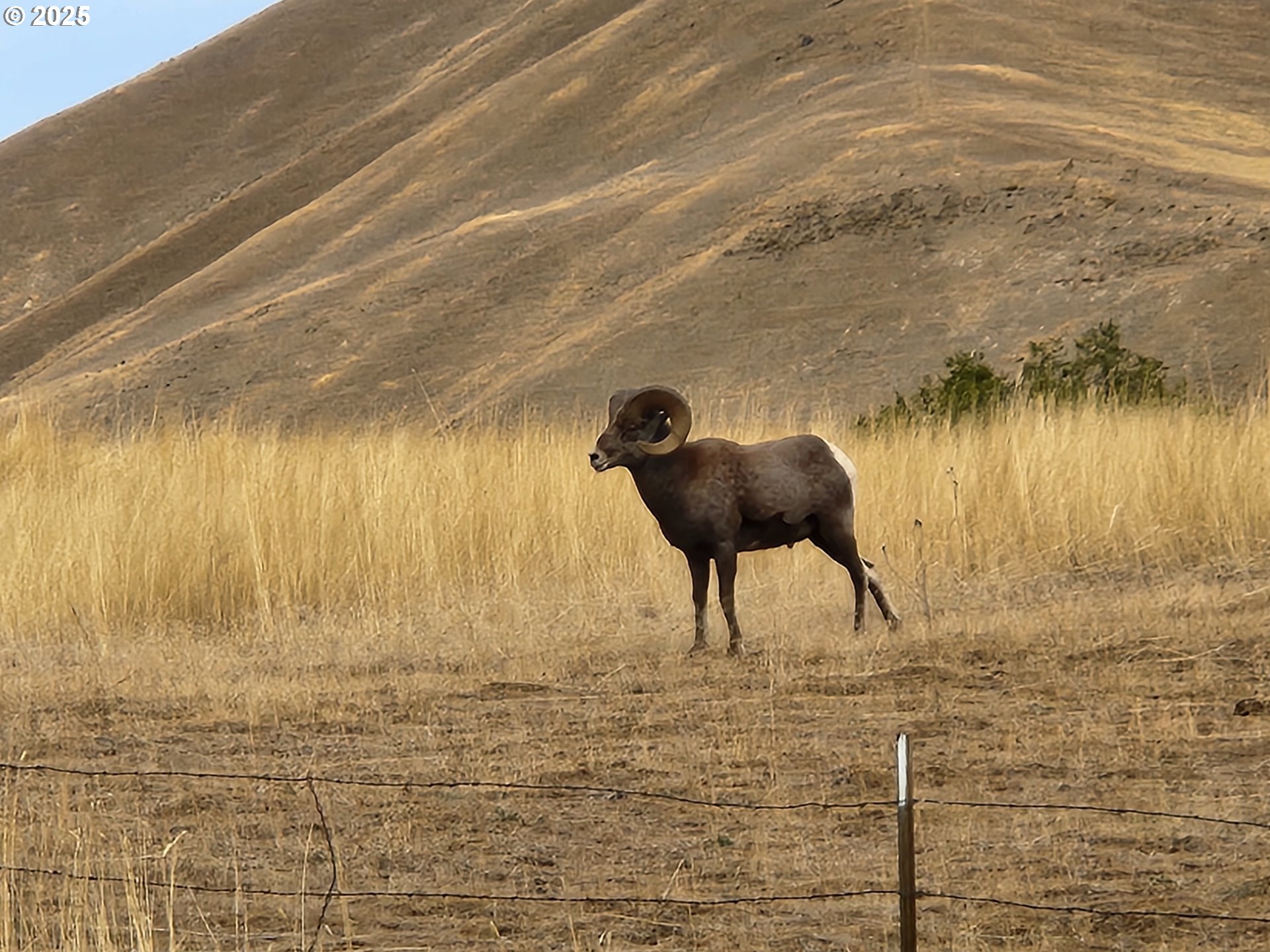 34559 Snake River Road Huntington, OR 97907 - Photo 15 of 46