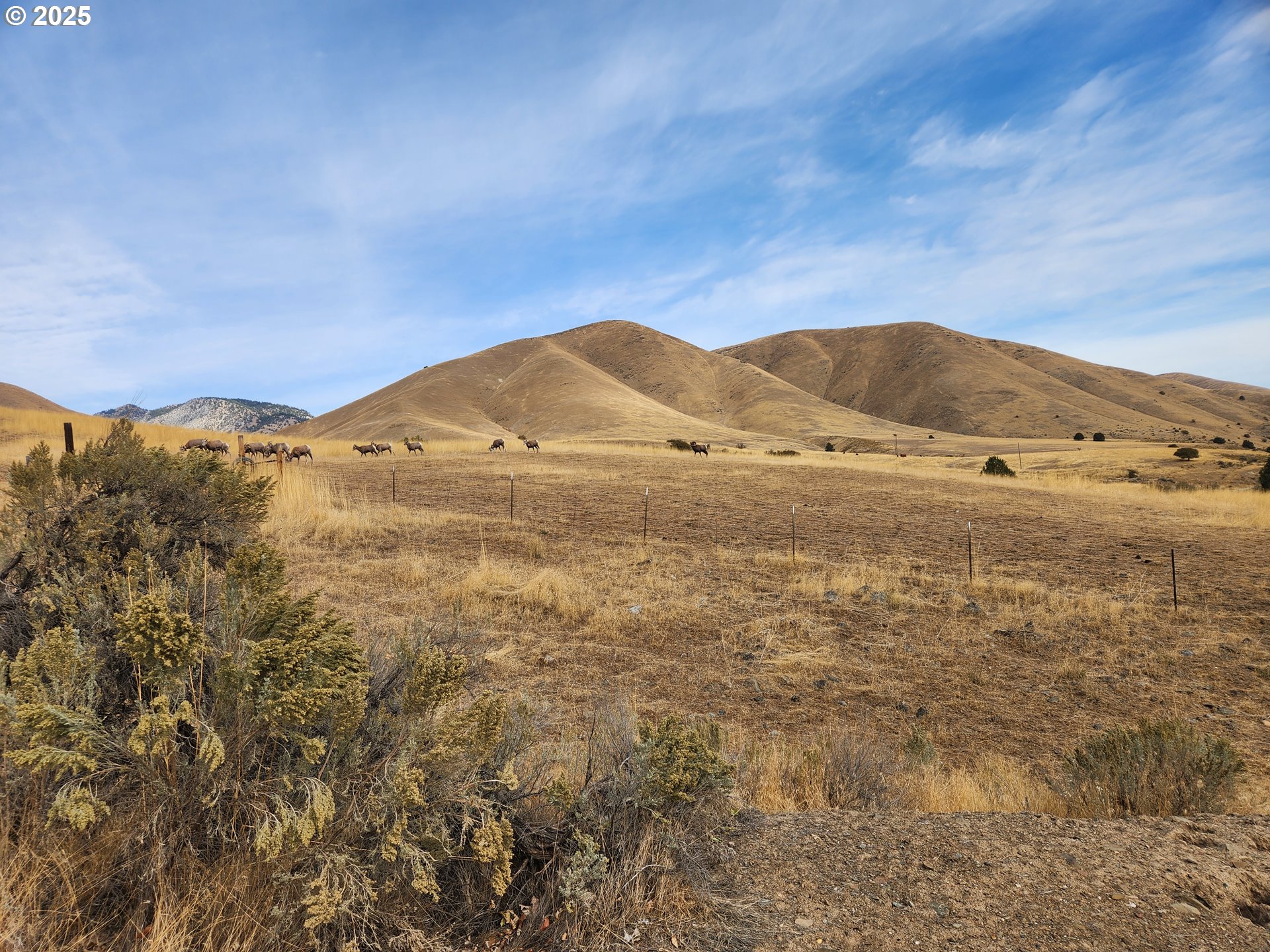 34559 Snake River Road Huntington, OR 97907 - Photo 16 of 46