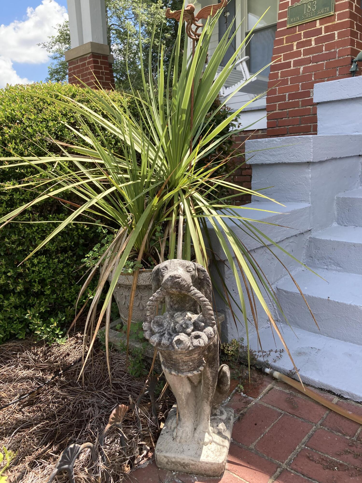 183 Main Street South Wagener, SC 29164 - Photo 80 of 82