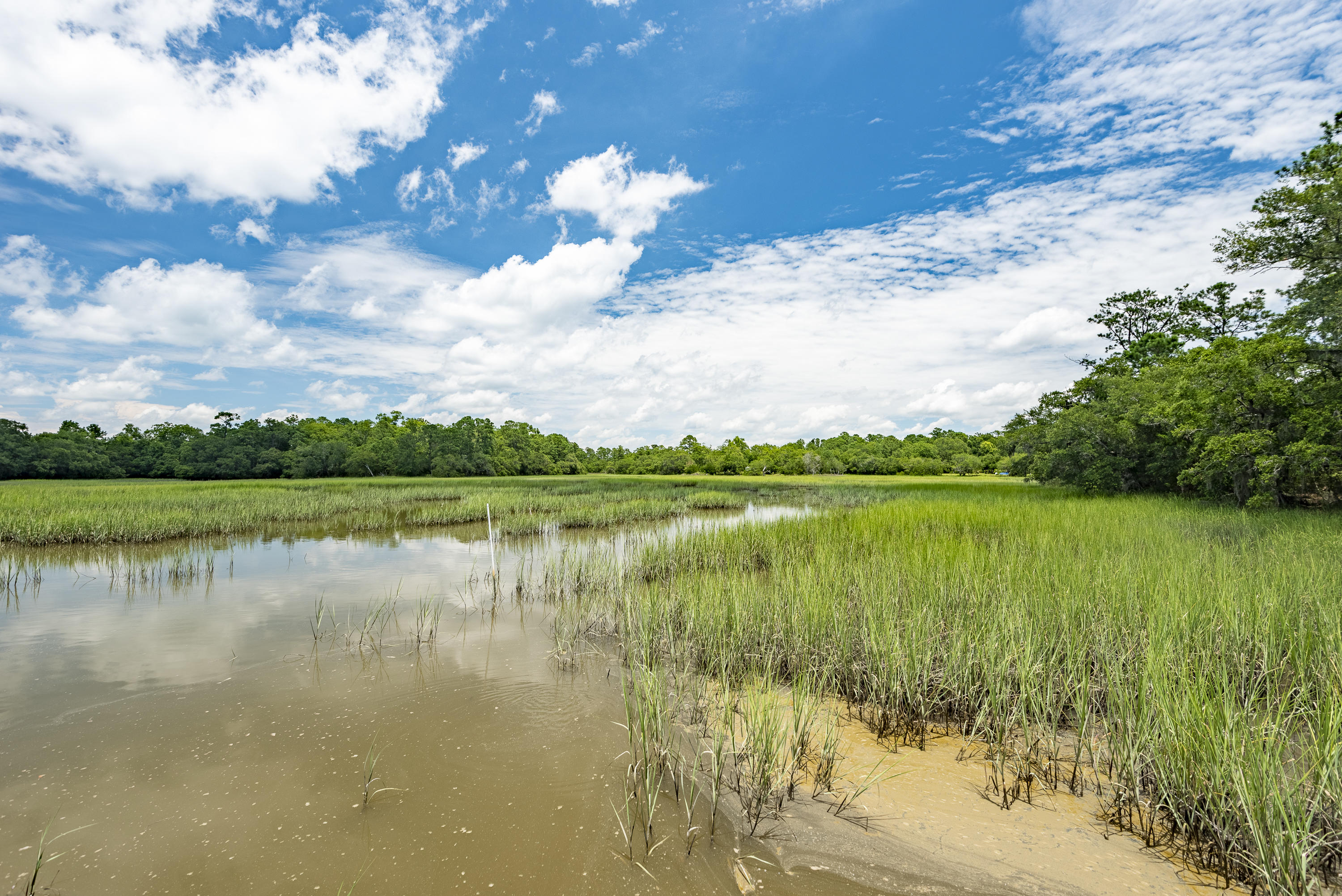 6 Polly Point Road Wadmalaw Island, SC 29487 - Photo 16 of 28 PollyPointRoadLots-KeenEyeMarketing-4