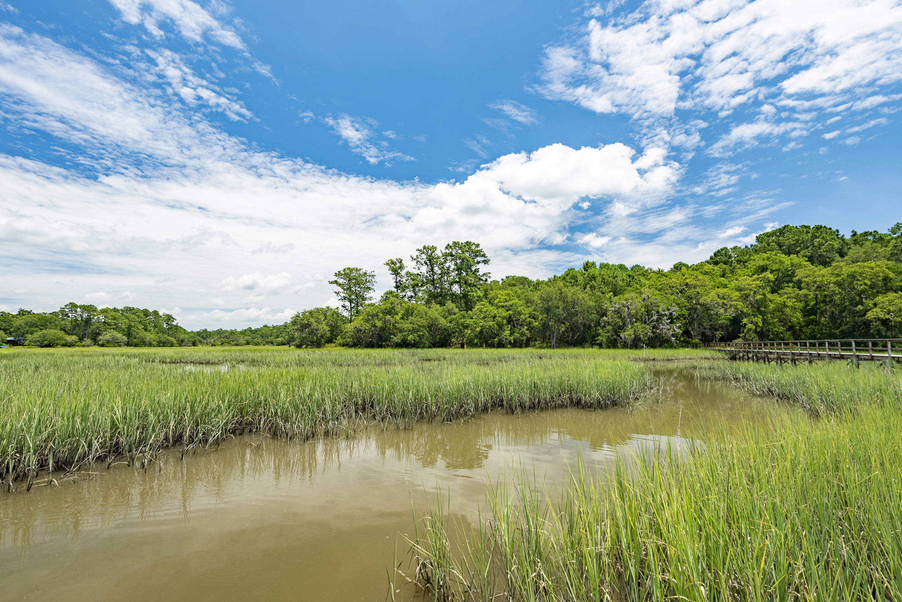 6 Polly Point Road Wadmalaw Island, SC 29487 - Photo 21 of 28 PollyPointRoadLots-KeenEyeMarketing-11