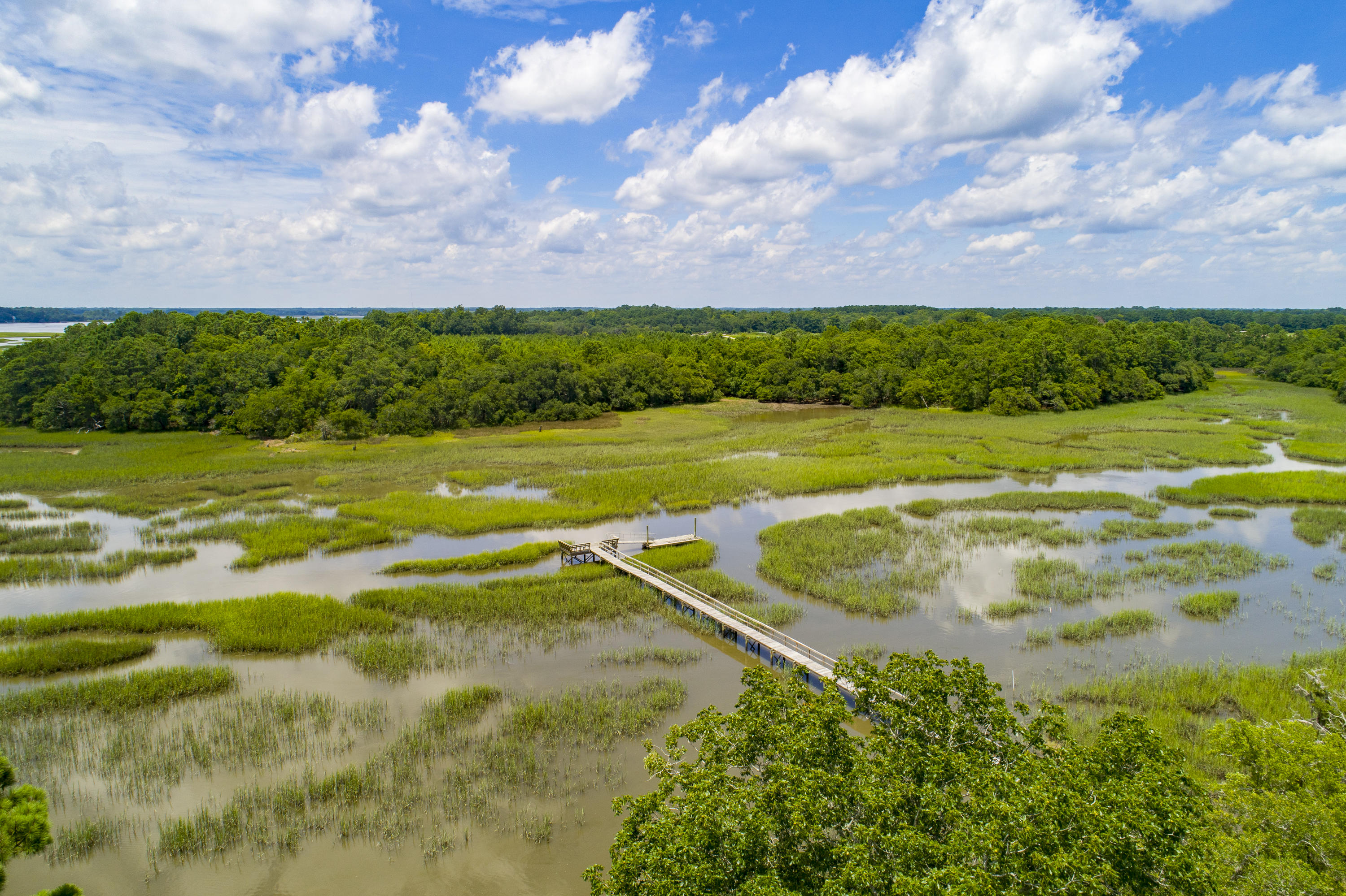 6 Polly Point Road Wadmalaw Island, SC 29487 - Photo 22 of 28 PollyPointRoadLots-KeenEyeMarketing-27