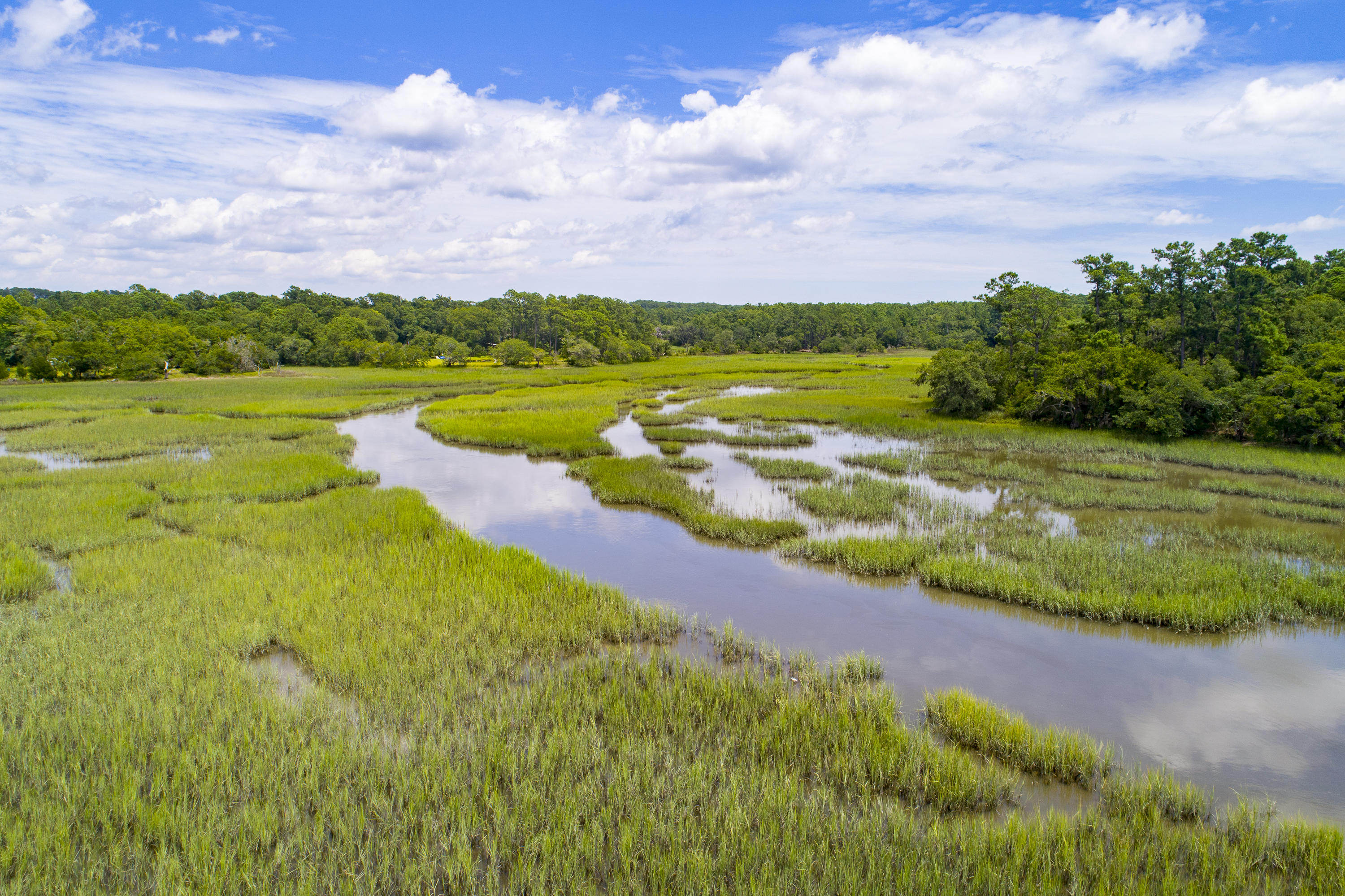 6 Polly Point Road Wadmalaw Island, SC 29487 - Photo 25 of 28 PollyPointRoadLots-KeenEyeMarketing-32