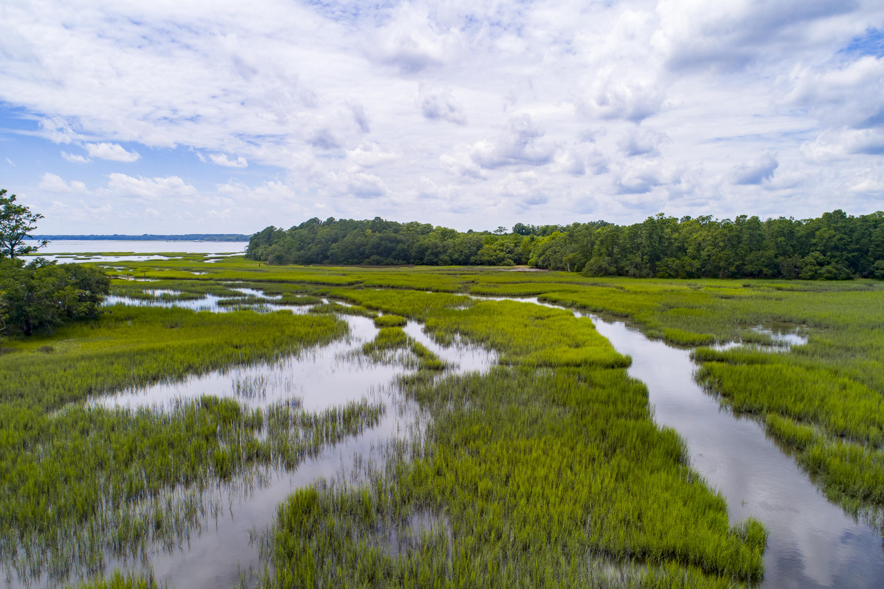 6 Polly Point Road Wadmalaw Island, SC 29487 - Photo 28 of 28 PollyPointRoadLots-KeenEyeMarketing-39