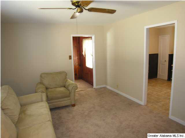 229 Raleigh Avenue Birmingham, AL 35209 - Photo 6 of 13