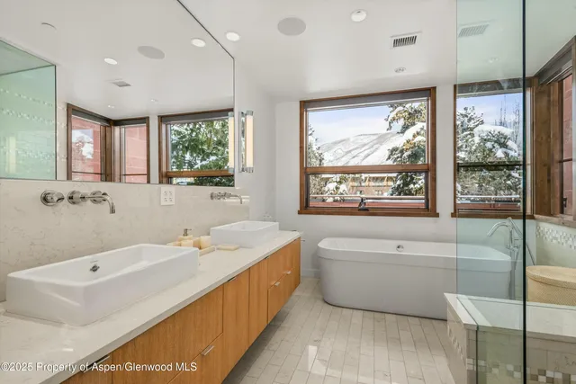 $200,000 | 233 East Cooper Avenue, Unit 301, Aspen, CO 81611