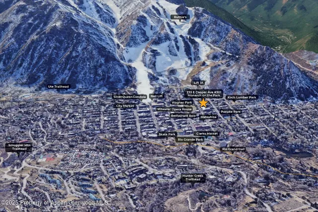 $200,000 | 233 East Cooper Avenue, Unit 301, Aspen, CO 81611