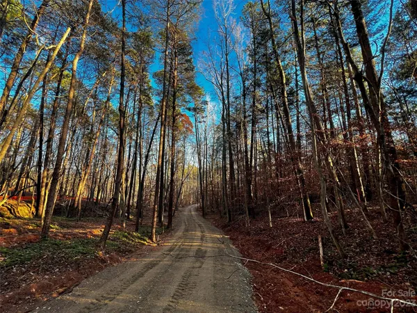 a view of backyard with green space