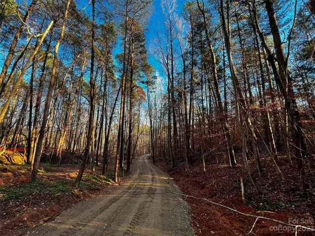 a view of backyard with green space