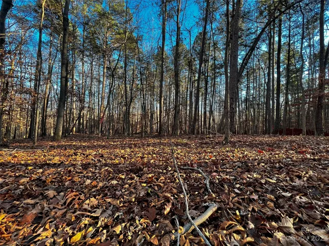 a view of wooden fence