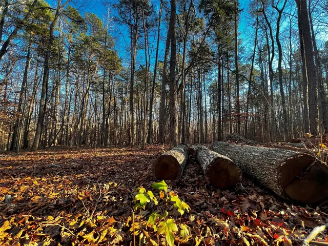 a backyard of a house with large trees