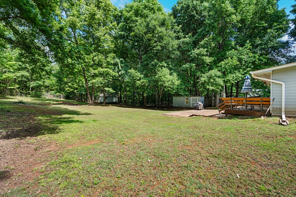 10897 Warm Springs Road Midland, GA 31820 - Photo 25 of 27
