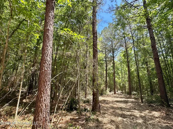 $149,000 | 0 Mcnair Springs Road, Magee, MS 39111