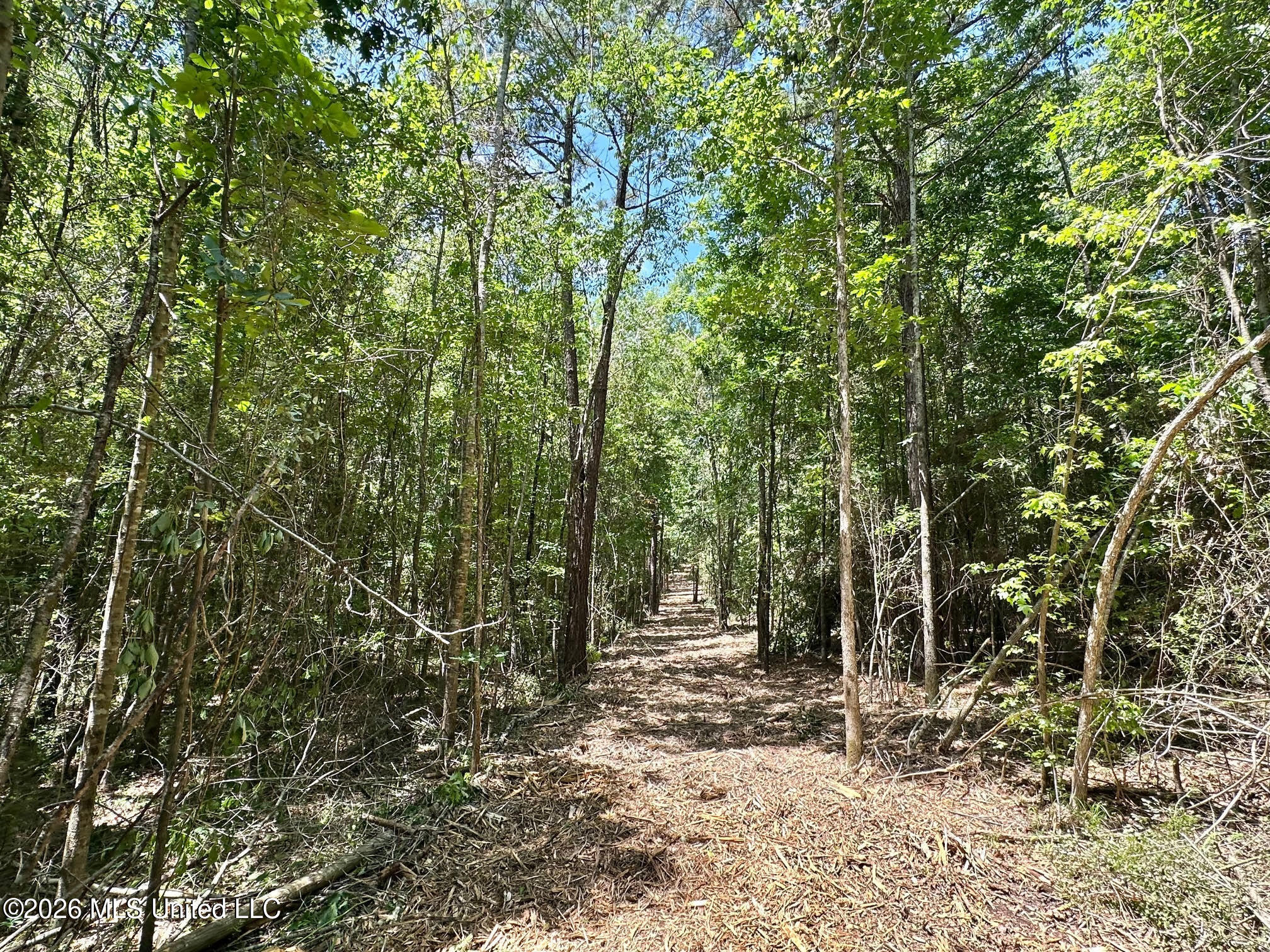 0 Mcnair Springs Road Magee, MS 39111 - Photo 14 of 25 14