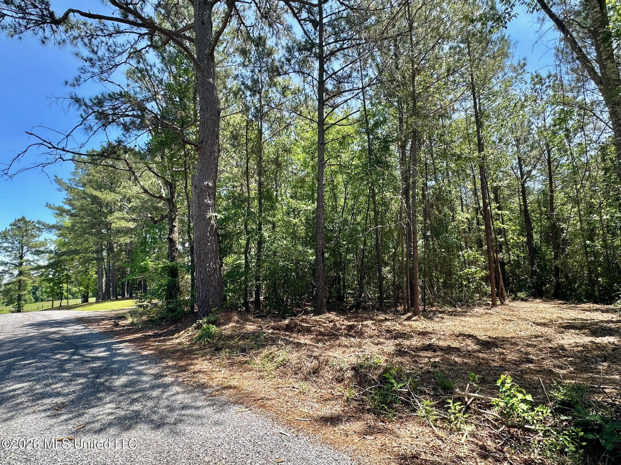 0 Mcnair Springs Road Magee, MS 39111 - Photo 15 of 25 15