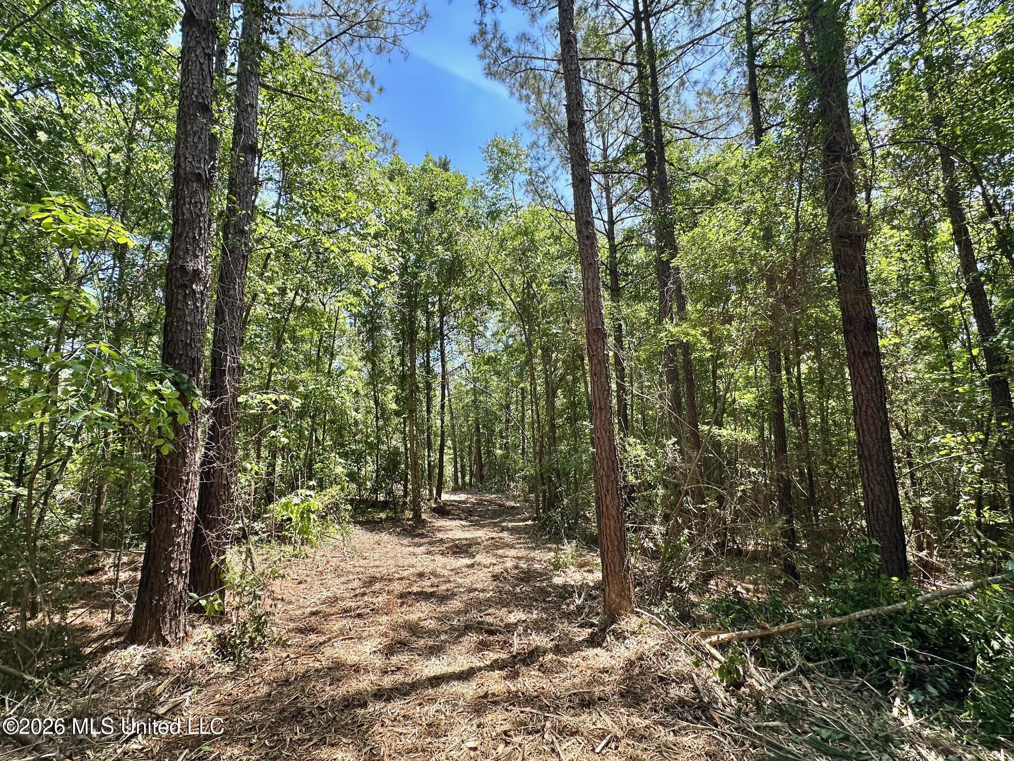 0 Mcnair Springs Road Magee, MS 39111 - Photo 16 of 25 16