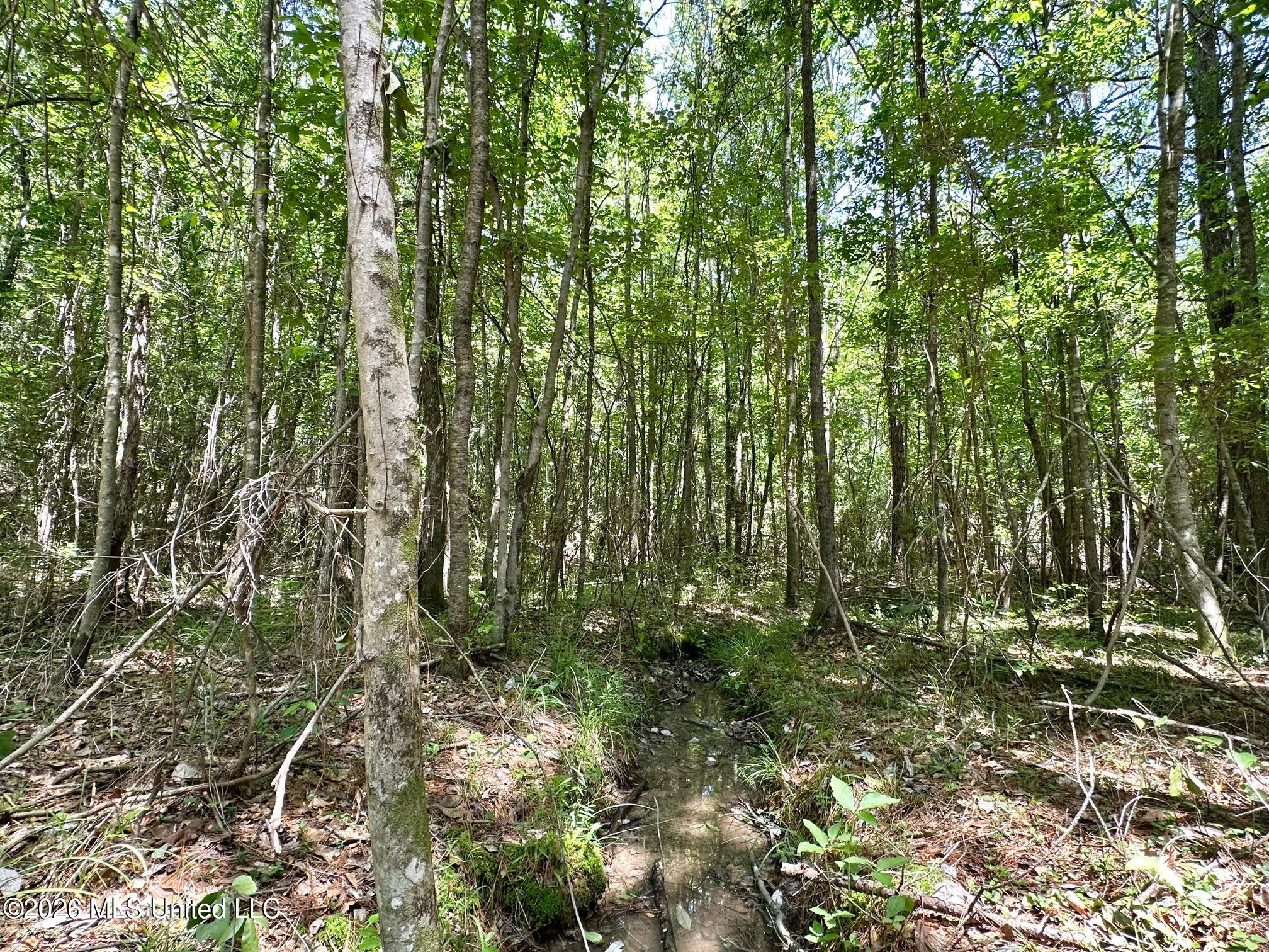 0 Mcnair Springs Road Magee, MS 39111 - Photo 5 of 25 5