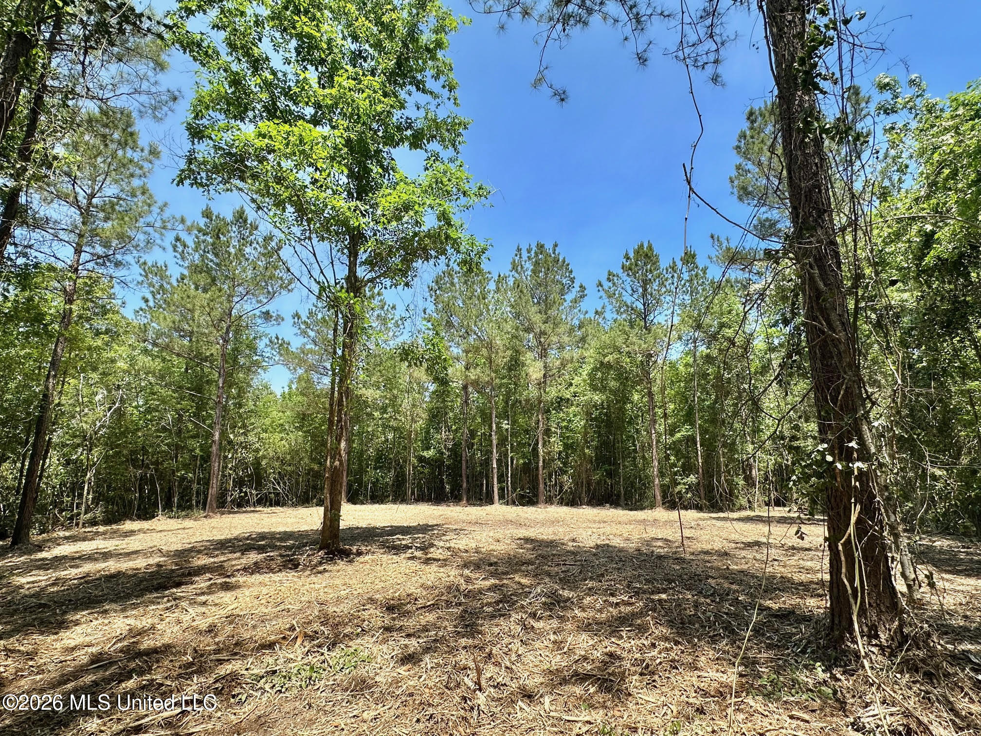 0 Mcnair Springs Road Magee, MS 39111 - Photo 7 of 25 7