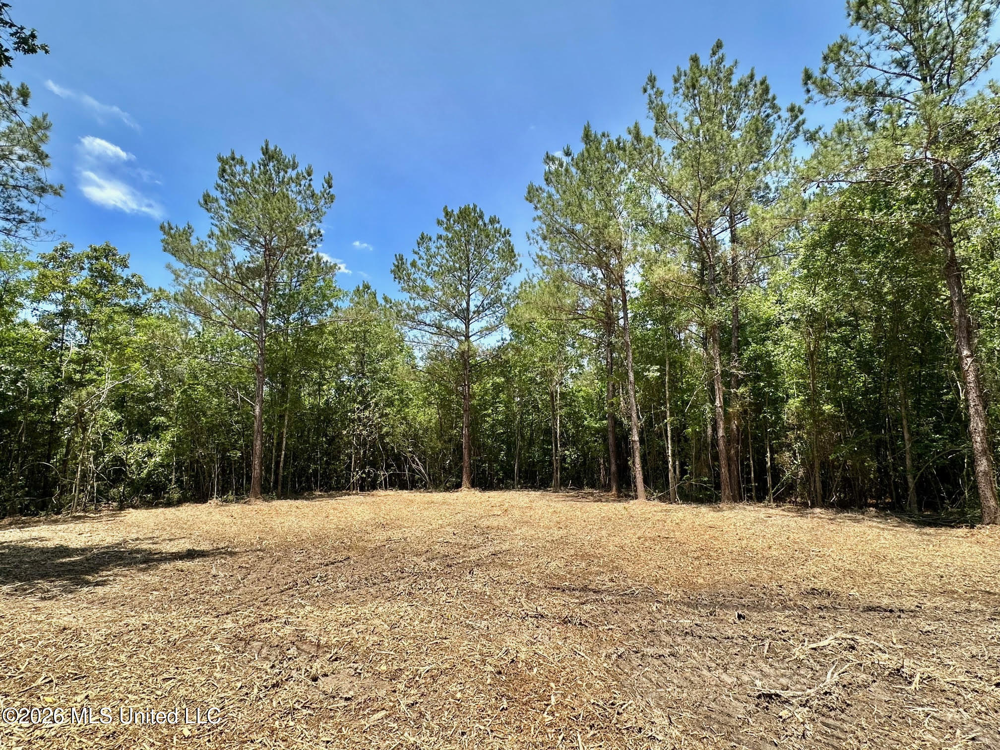0 Mcnair Springs Road Magee, MS 39111 - Photo 8 of 25 8