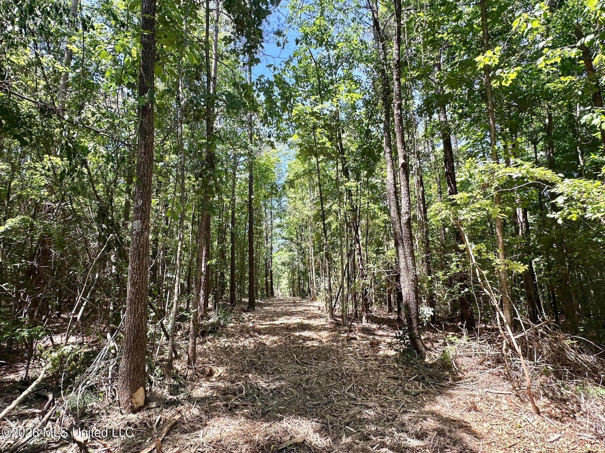 0 Mcnair Springs Road Magee, MS 39111 - Photo 10 of 25 10