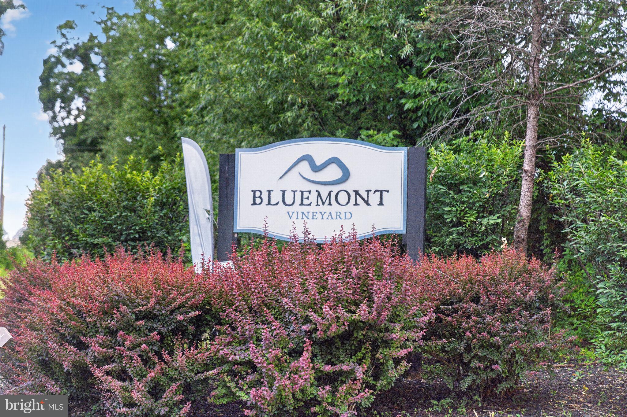 18616 Foggy Bottom Road Bluemont, VA 20135 - Photo 122 of 137