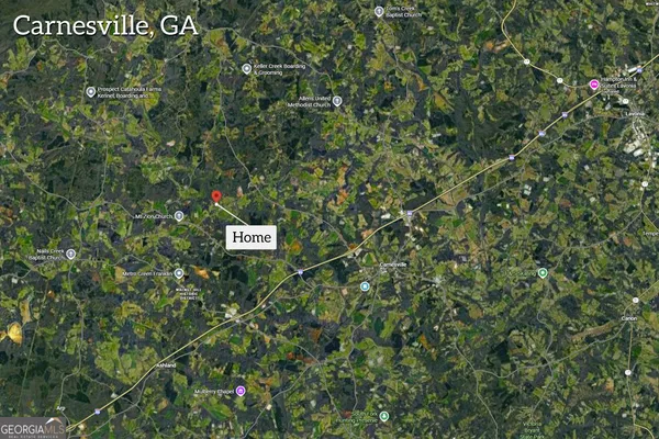 a sign broad in the tree