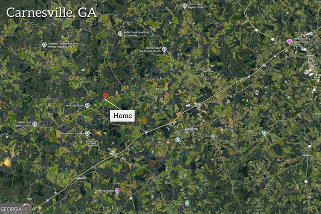 a sign broad in the tree