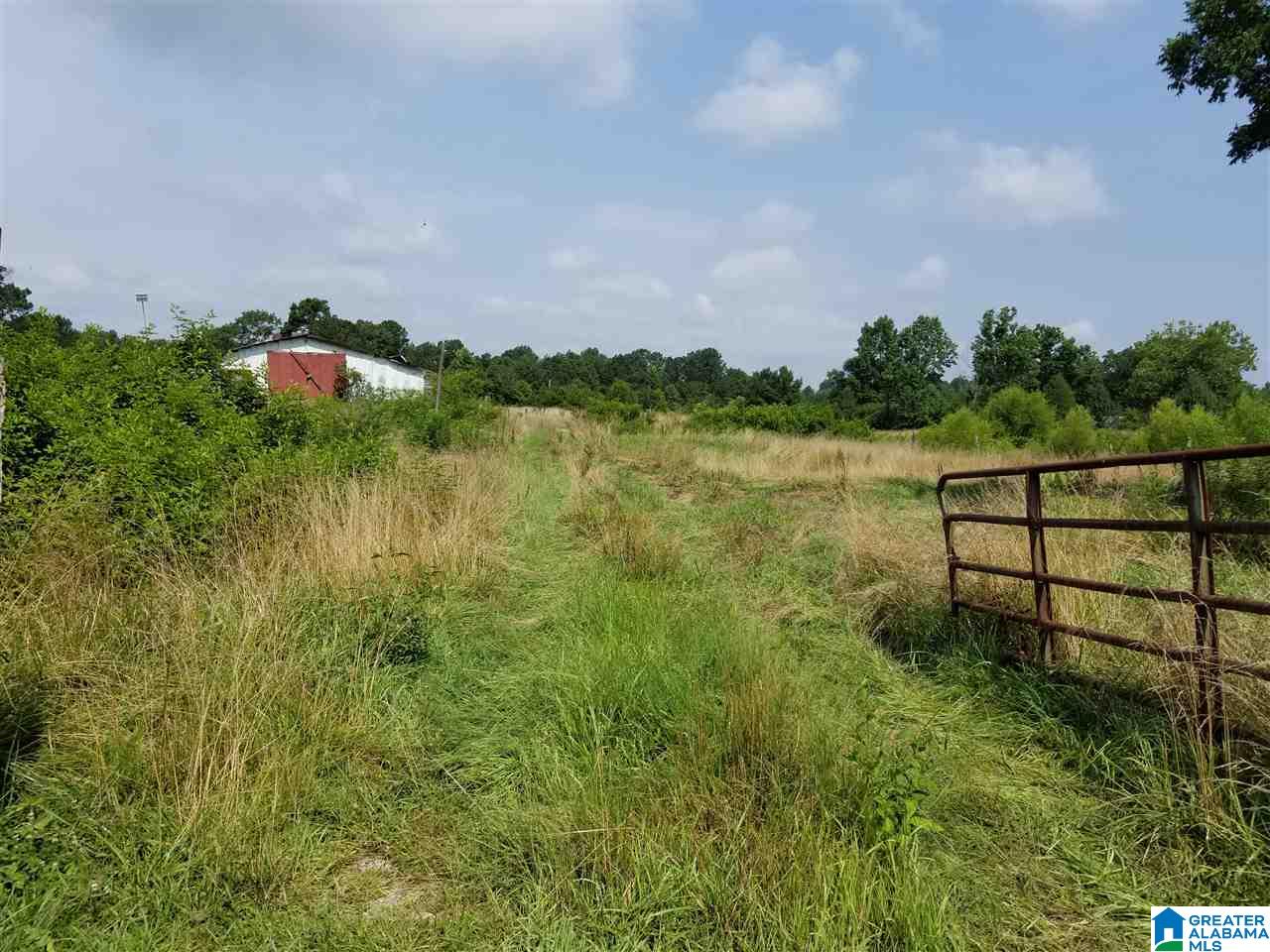 321 County Road 1147 Cullman, AL 35057 - Photo 14 of 32