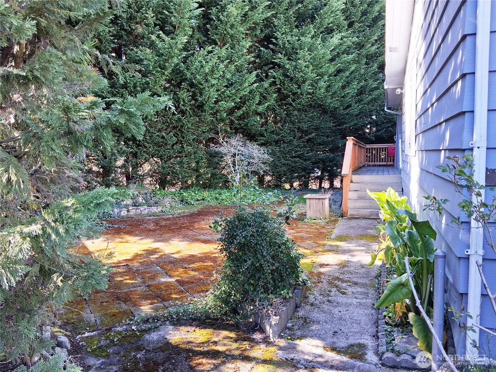 815 124th Street Southwest, Unit 36 Everett, WA 98204 - Photo 3 of 32 a view of a yard with plants and large trees